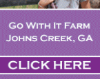 Go With It Farm: Summer Camp 160x600 banner ad