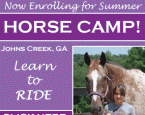 Go With It Farm: Summer Camp 300x250 banner ad